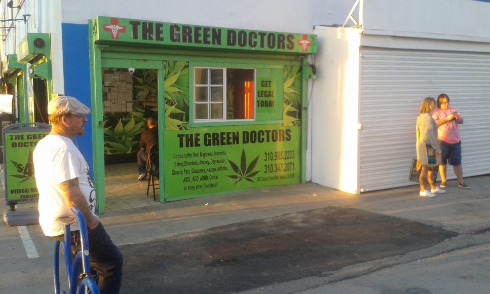 Zelení doktori v Los Angeles. FOTO - Juraj Hipš